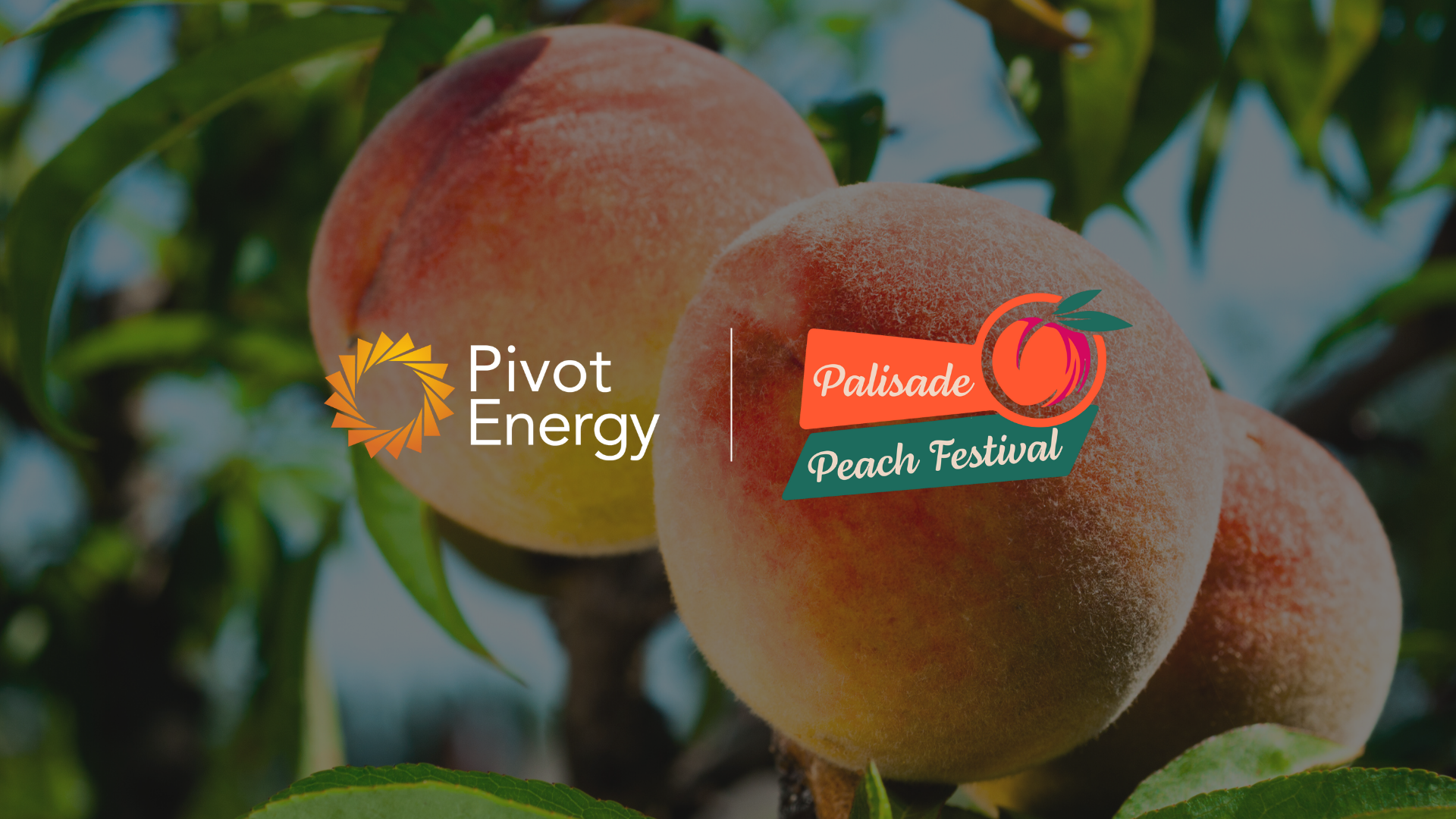 Pivot Palisade Banner v3