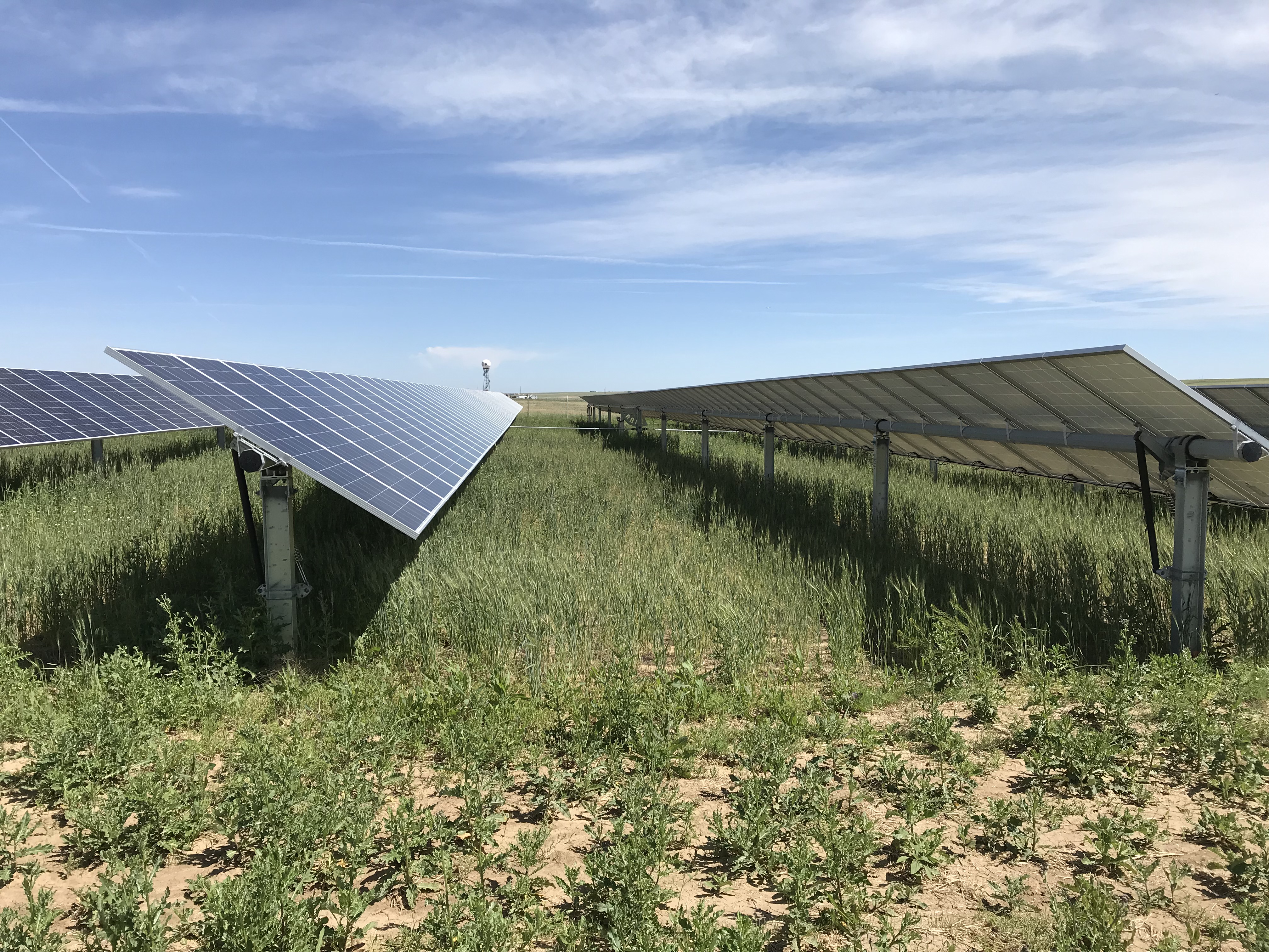 Community Solar 